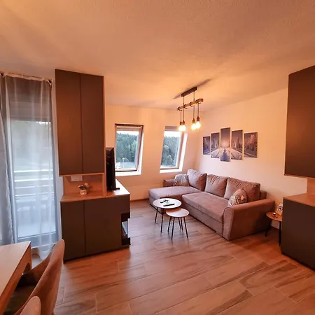 Apartment Panorama - Ravna Planina Pale