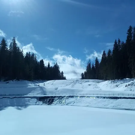 Panorama - Ravna Planina * Pale